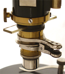R. Fuess Berlin-Steglitz: Mikroskop nach F.E. Wright, Nr. 1717: Verzögerungsplättchen im Strahlengang