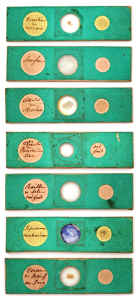 G.Oberhaeuser & E. Hartnack # 3207: Präparate