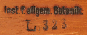 Mikroskop von Seibert & Krafft Stativ Nr.2, Seriennummer 3506 im Kasten: Alte Brandstempel