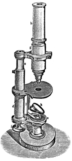 Kleines Mikroskop von Belthle; Abb. aus: Leopold Dippel: Das Mikroskop und seine Anwendung. Erster Theil. Friedrich Vieweg und Sohn, Braunschweig 1867: 151