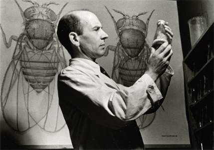 Prof.Dr.phil. Karl Henke (1895-1956), Foto von Leif Geiges für die Zeitschrift Atlantis (Herausgeber Martin Hürlimann), 1947