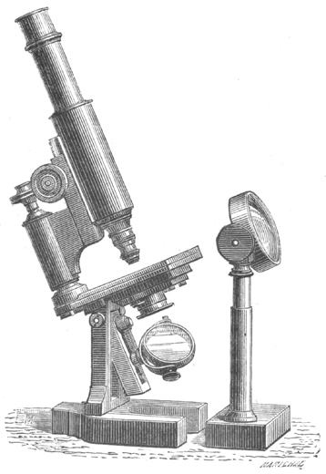 Hufeisen-Mikroskop Prazmowski; Abb. aus: Eugène Trutat: Traité élémentaire du microscope; Gauthier-Villars, Paris 1883