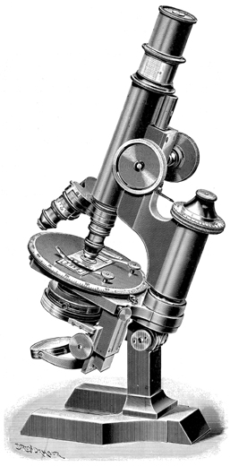 Mikroskop Stativ III; Abb. aus: W. & H. Seibert Optisches Institut Wetzlar. Zweiggeschäft in Berlin NW., Luisenstrasse No. 52: Preis-Verzeichnis der Mikroskope und mikroskopischen Hilfs-Apparate No. 31; Wetzlar 1903