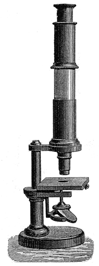 Seibert Stativ 8. Abb. aus: W. & H. Seibert in Wetzlar: Katalog der Mikroskope, mikroskopischen und mikro-photographischen Objective und Apparate nebst Preisangabe derselben. December 1885.